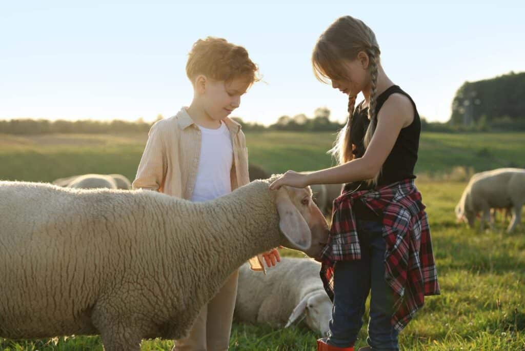 Cómo Veganuary está cambiando el mundo la alimentación 100­ % vegetal